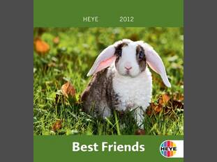 Best Friends – Kaninchen