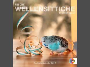 Freche Wellensittiche
