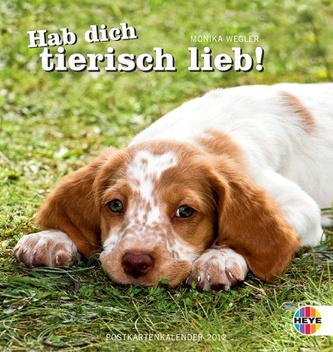 Hab dich tierisch lieb