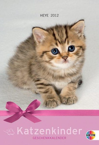 Katzen-Geschenkkalender mit Kuvert