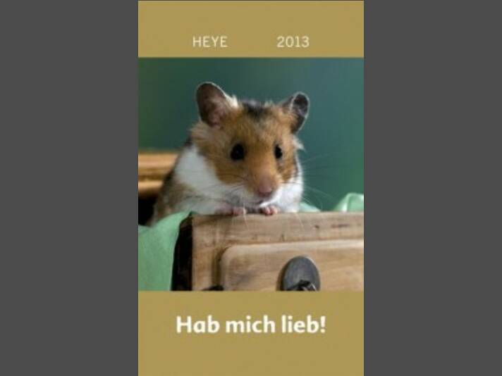 Tierkalender 2013 Tierkalender 2013