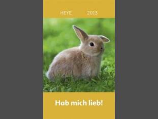 Kaninchen – Hab mich lieb