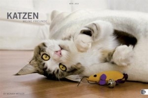 Katzen – Meine Freunde