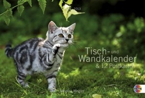 Katzen – Multiplaner