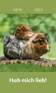 Meerschweinchen – Hab mich lieb!