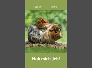 Meerschweinchen – Hab mich lieb!