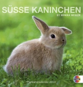 Süsse Kaninchen