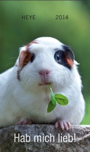 Meerschweinchen Hab mich lieb! 2014
