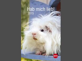 Meerschweinchen Hab mich lieb! 2015