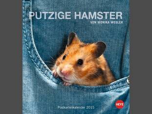 Putzige Hamster