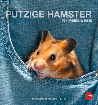 Putzige Hamster