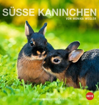 Süsse Kaninchen