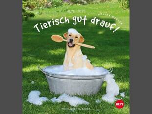 Tierisch gut drauf Postkartenkalender 2015