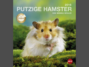 Putzige Hamster 2016