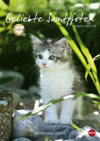 Geliebte Samtpfoten 2016