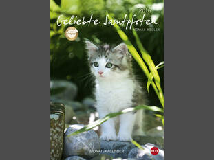 Geliebte Samtpfoten 2016