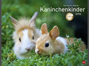 Kaninchenkinder 2016