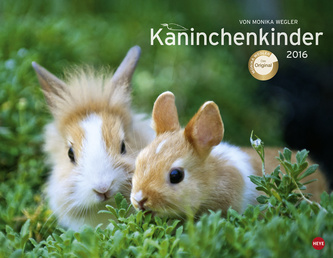 Kaninchenkinder 2016