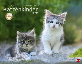 Katzenkinder 2016