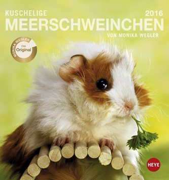 Kuschelige Meerschweinchen 2016