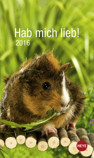 Meerschweinchen Hab mich lieb 2016