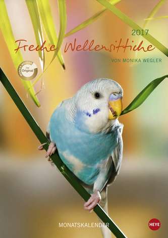 Freche Wellensittische A4 Format