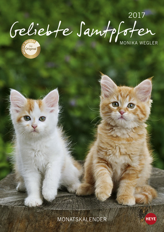 Geliebte Samtpfoten 2017