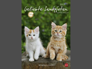 Geliebte Samtpfoten 2017
