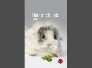 Hab mich lieb Meerschweinchen