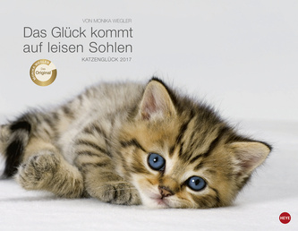 Katzenglück 2017