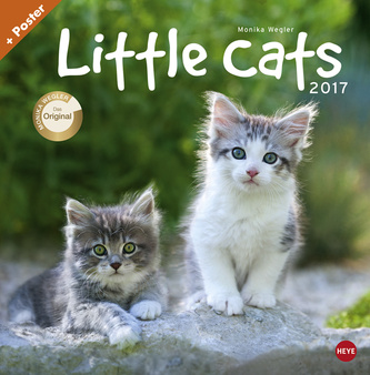 Little Cats 2017