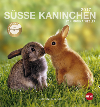 Süsse Kaninchen 2017