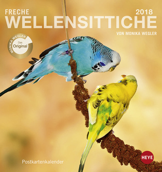 Freche Wellensittiche 2018