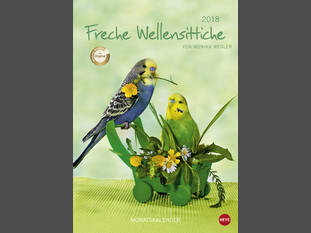 Freche Wellensittiche – A4 – 2018