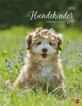 Hundekinder 2019