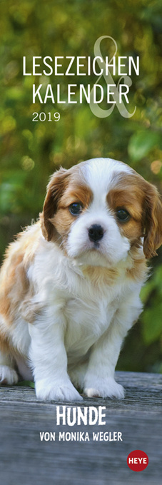 Lesezeichen &amp; Kalender Hunde 2019