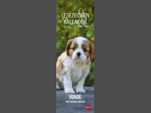 Lesezeichen &amp; Kalender Hunde 2019