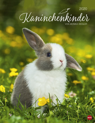Kaninchenkinder Posterkalender 2020