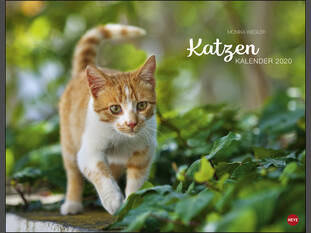 Katzenkalender 2020