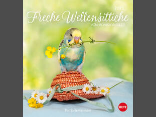Freche Wellensittiche Postkartenkalender 2021