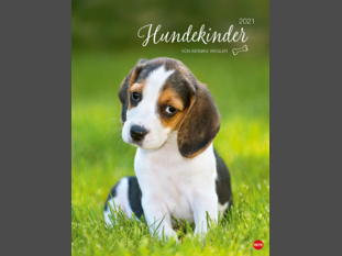 Hundekinder Posterkalender 2021