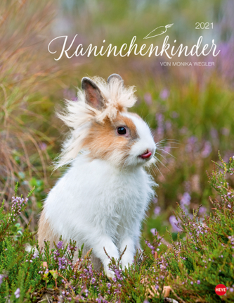 Kaninchenkinder Posterkalender 2021