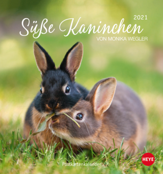 Süße Kaninchen Postkartenkalender 2021