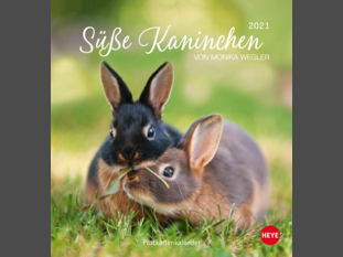 Süße Kaninchen Postkartenkalender 2021