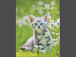 Katzenkinder Posterkalender 2022