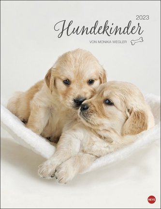 Hundekinder Posterkalender 2023