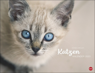 Monika Wegler: Katzenkalender 2023