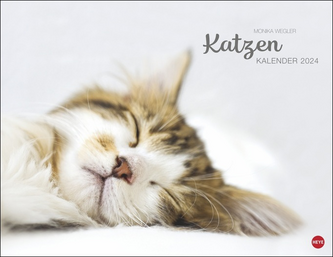 Monika Wegler: Katzenkalender 2024