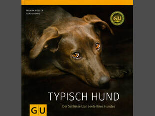 Typisch Hund