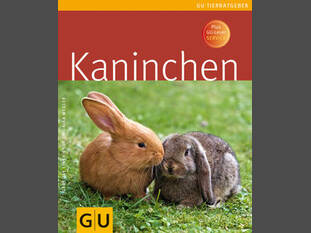 Kaninchen